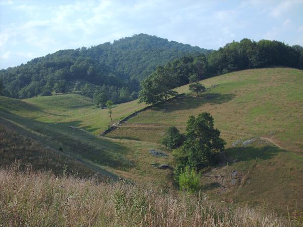 View of Booker Hollow