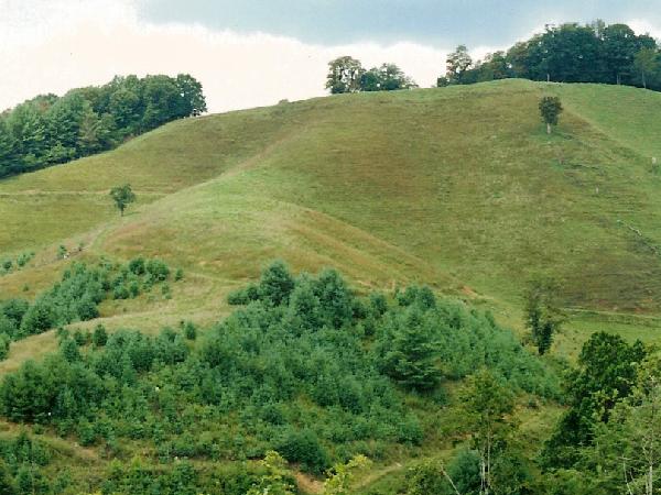 Cherry Tree Hill rises 300 feet above the valley floor standing at 3,000 feet in elevation with incredible panoramic views