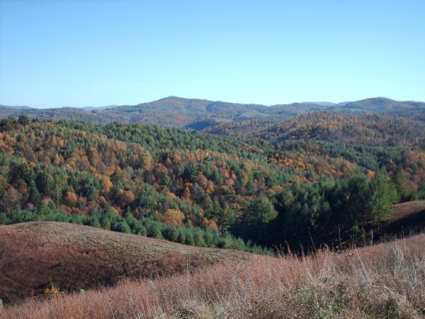 View of Chestnut Hill