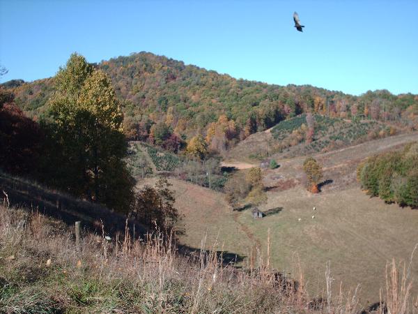 View of Helton Knob and Booker Hollow