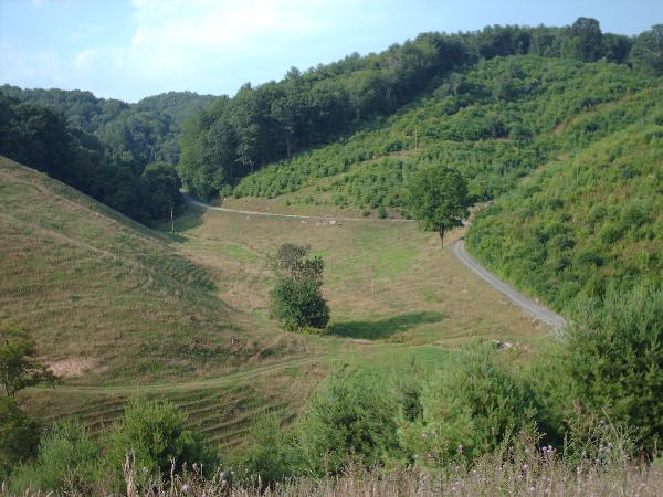 View of Mont Shepherd Road