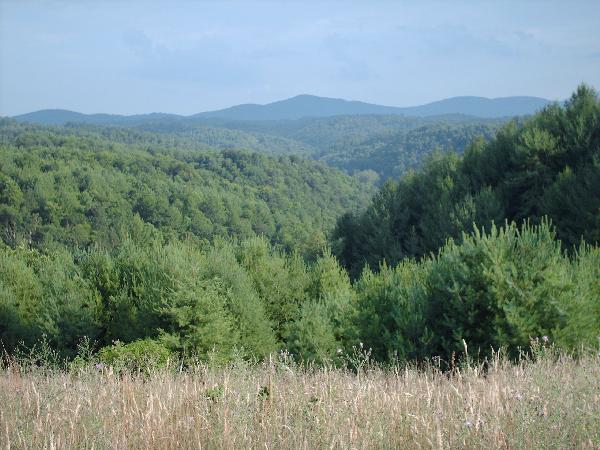 View of the Valley Carved by Piney Branch, Helton Creek and the North Fork New River