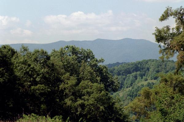 View of Phoenix Mountain