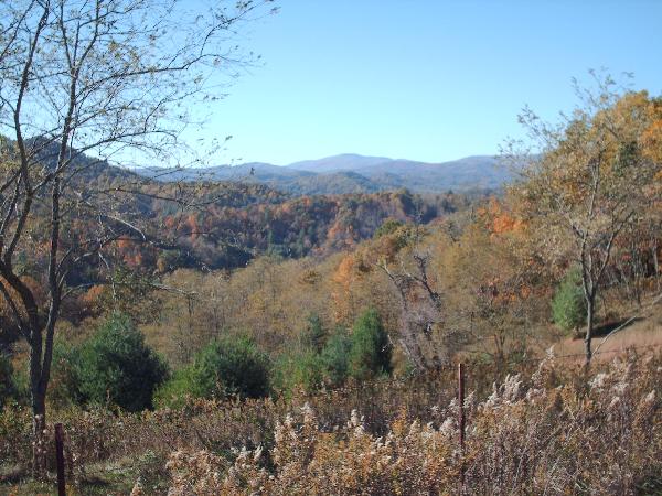 Views of Pond Mountain, Whitetop Mountain and Mount Rogers